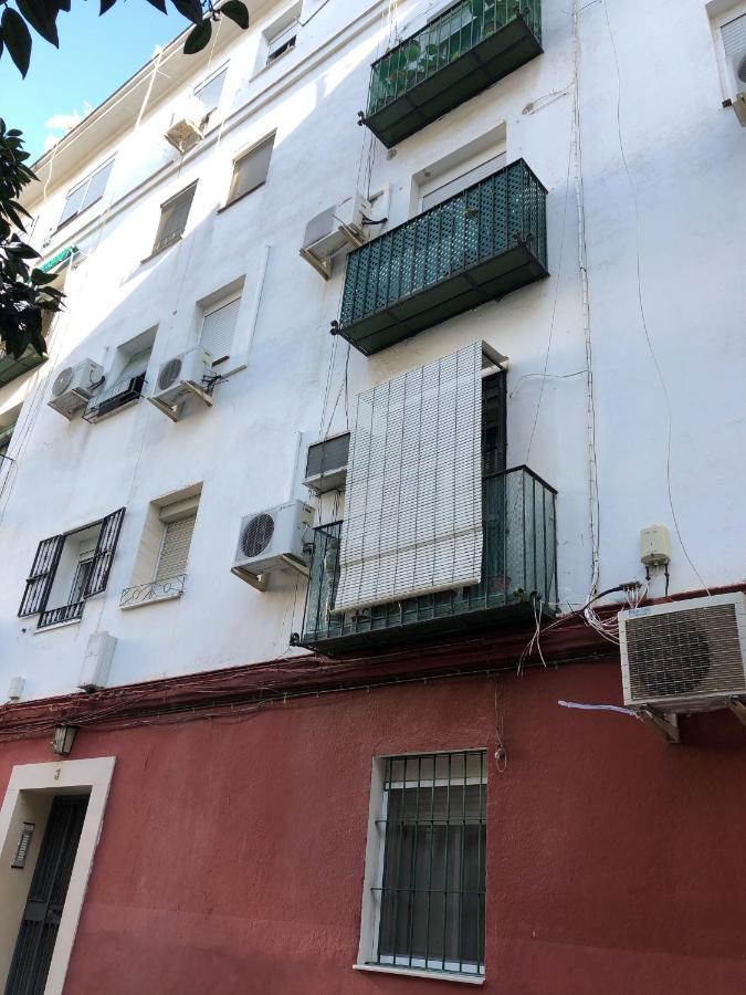 Piso En El Tardon Apartment Sevilla Bagian luar foto